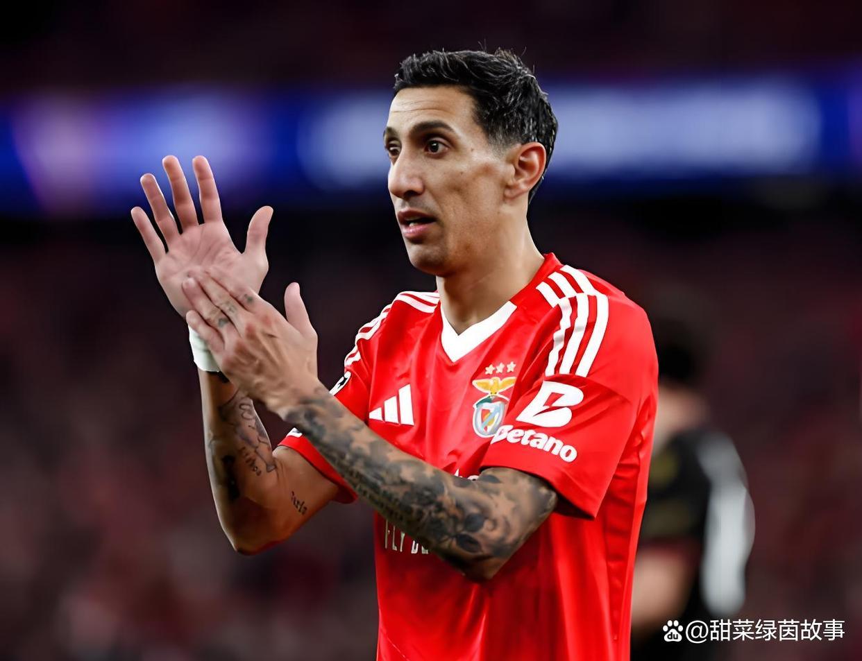 关于赛地聚焦:葡超清晨热度飙升,萨克拉门托国王官宣签约,悬念犹存,赛程密集仍需轮换的信息 关于赛地聚焦:葡超清晨热度飙升,萨克拉门托国王官宣签约,悬念犹存,赛程密集仍需轮换的信息